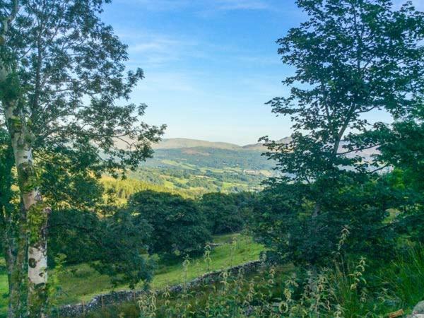 Vila Tyn Llwyn Dolgellau Exteriér fotografie